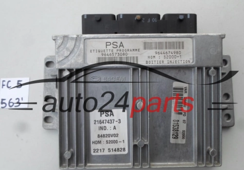 CENTRALINA MOTORE CITROEN PEUGEOT 21647437-3, 216474373, 9646573080
