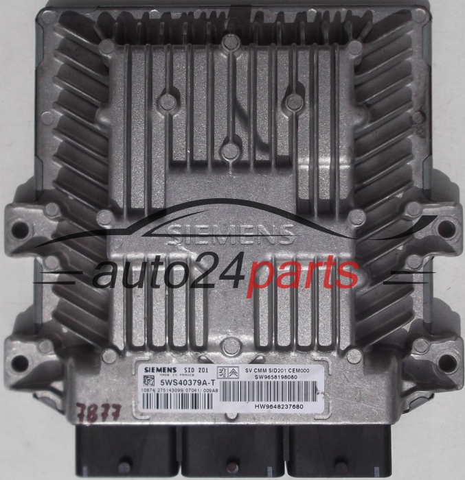 DSCF1053.JPG
