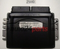 CALCULATEUR MOTEUR RENAULT MEGANE SCENIC S110030054 A, S110030054A, 8200035891, SIRIUS 32