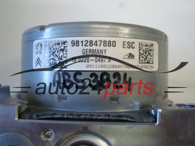 CITROEN PEUGEOT 9812847880, 10.0220-0497.4, 10022004974, 10.0915-3955.3, 10091539553