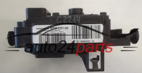 PEUGEOT S118983001N, 9658539180, L01-00