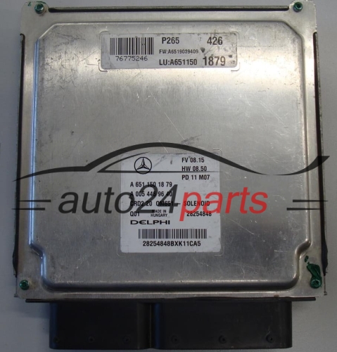 MERCEDES W211 E220 CDI DELPHI 28254848, A6511501879, A 651 150 18 79, A0054469640, A 005 446 96 40, CRD2.00 0M651