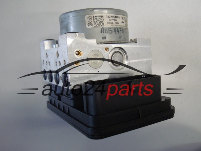 CITROEN PEUGEOT 9822654880, 10.220-1206.4, 1022012064, 10.0916-3913.3, 10091639133