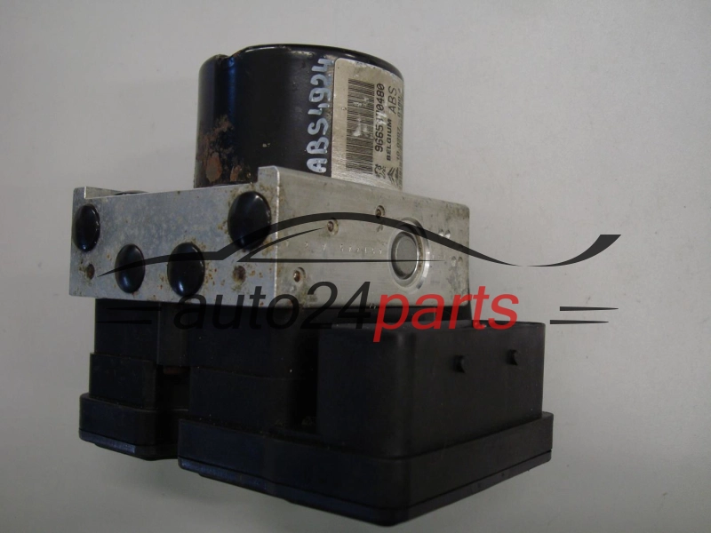 CITROEN PEUGEOT 9665370480, 10.0207-0180.4, 10020701804, 10.0970-1166.3, 10097011663