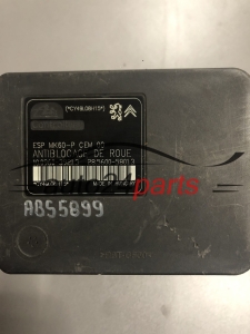 PEUGEOT 9665345880 10096039213 10.0960-3921.3