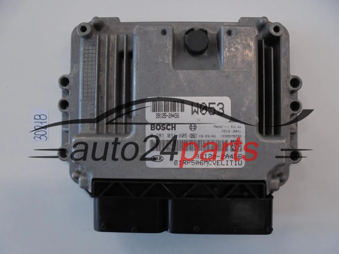 Motorsteuergerät KIA HYUNDA 0281031605 39120-2A456 391202A456