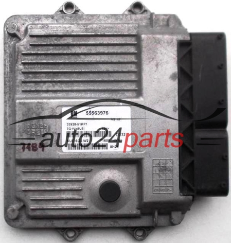 MOTORSTEUERGERÄT ECU STEUERGERAT OPEL 1.3 55563976, 33920-51KP1, 3392051KP1, MJD6O2.W2, MJD6O2W2