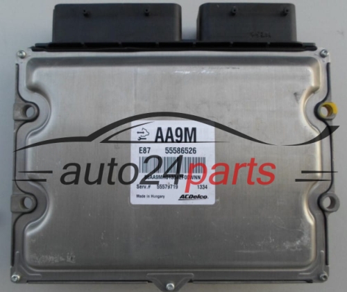 ECU ENGINE CONTROLLER  OPEL ASTRA IV ACDelco 55586526 AA9M, DELPHI 55579719