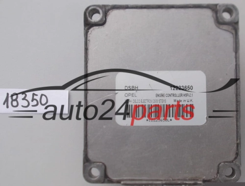 KOMPUTER STEROWNIK SILNIKA OPEL  1.4 Z14XE 1.6 Z16XE Z16SE DELPHI DELCO 12223650 DSBH